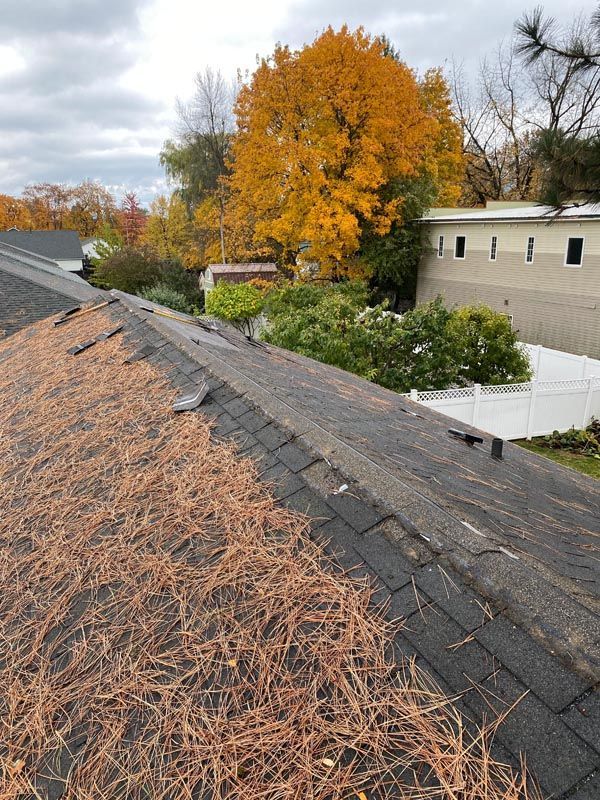 A roof with a lot of dry grass on it and trees in the background.