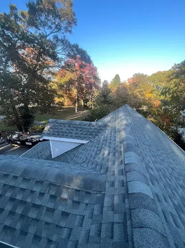 A roof with a lot of shingles on it and trees in the background.