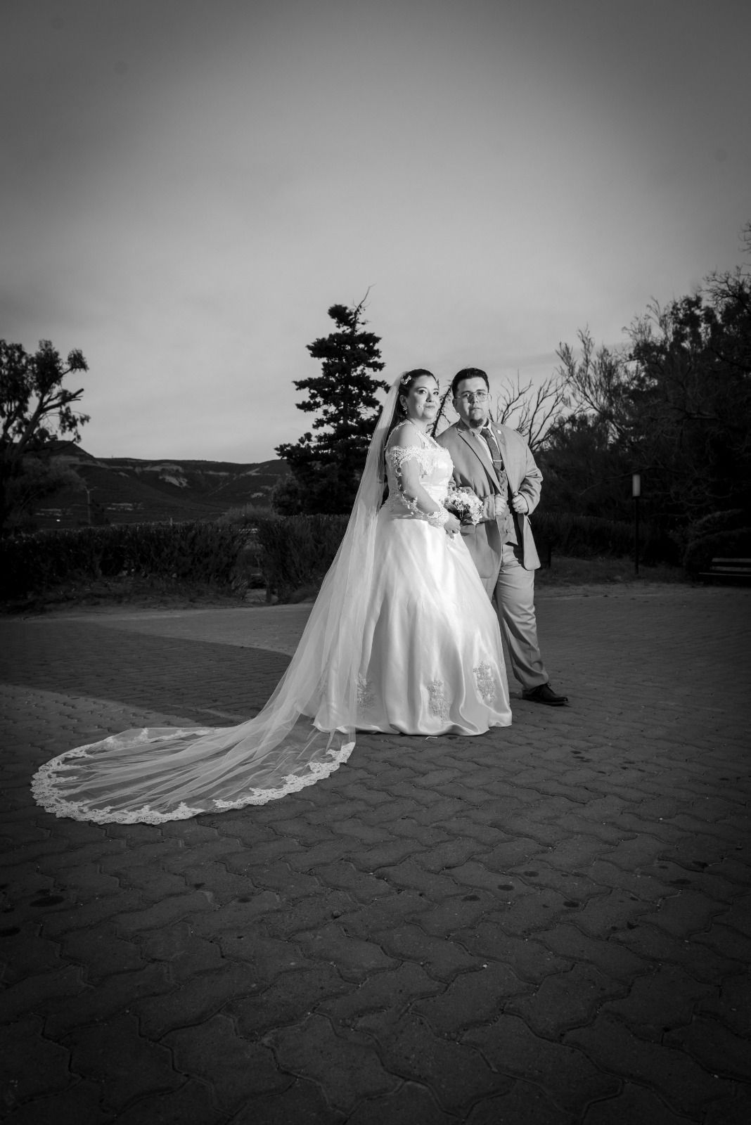 Novios con atuendo formal posando al aire libre. 