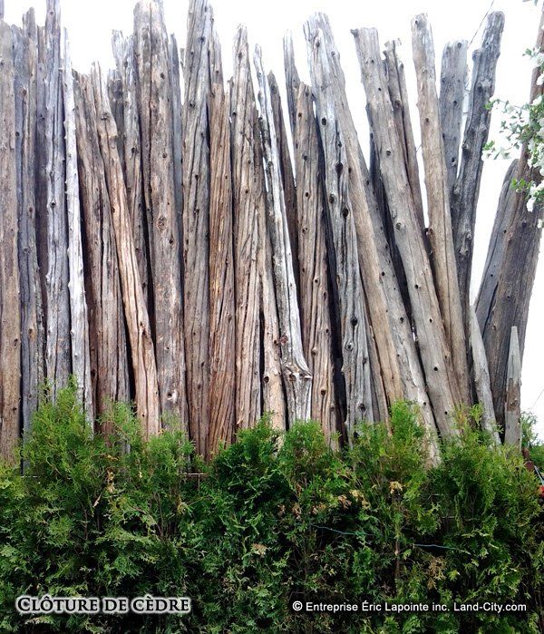Un tas de poteaux en bois sont alignés