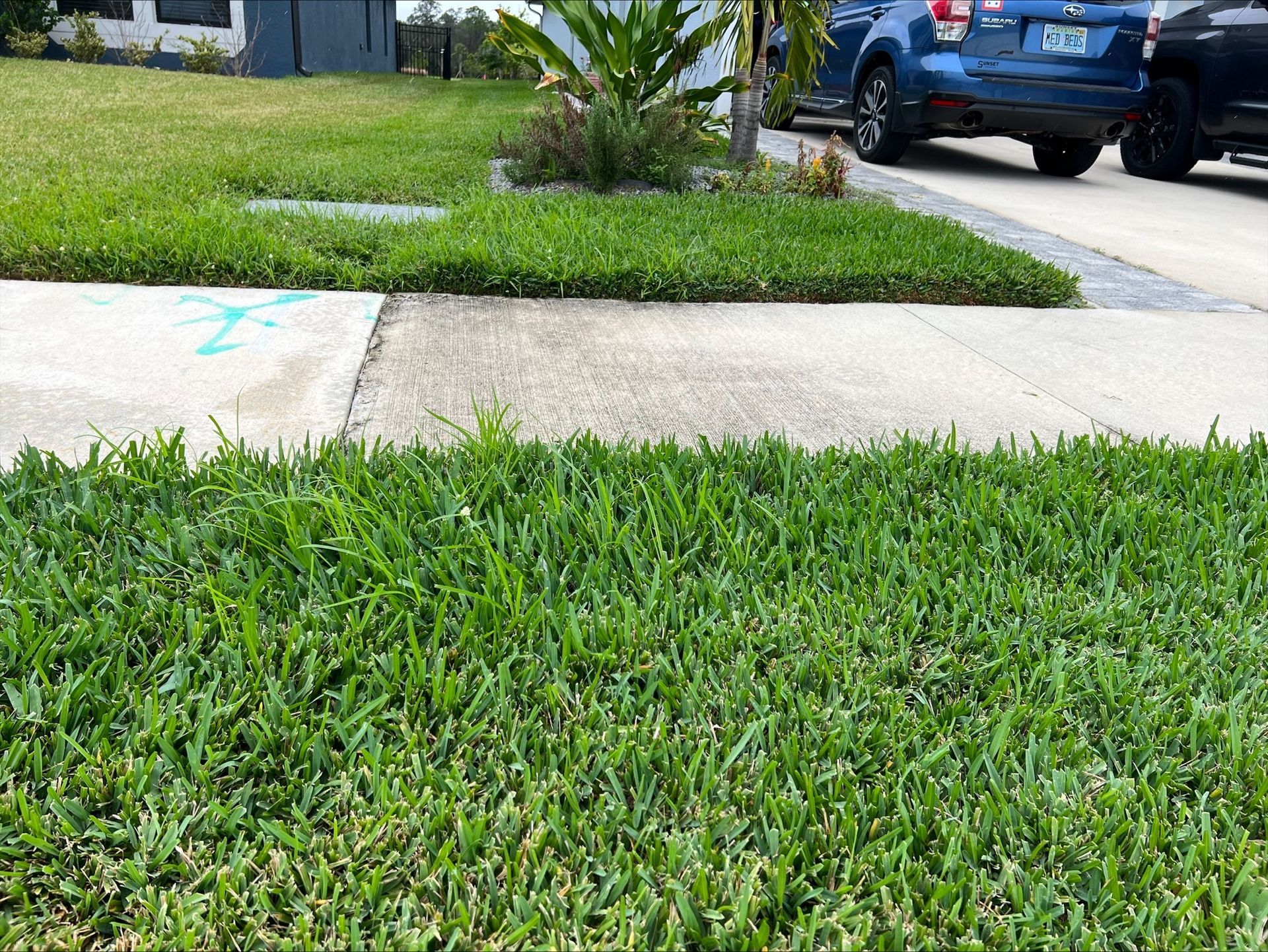 Josh Fertilizing Pro | A blue suv is parked in a driveway next to a lush green lawn.