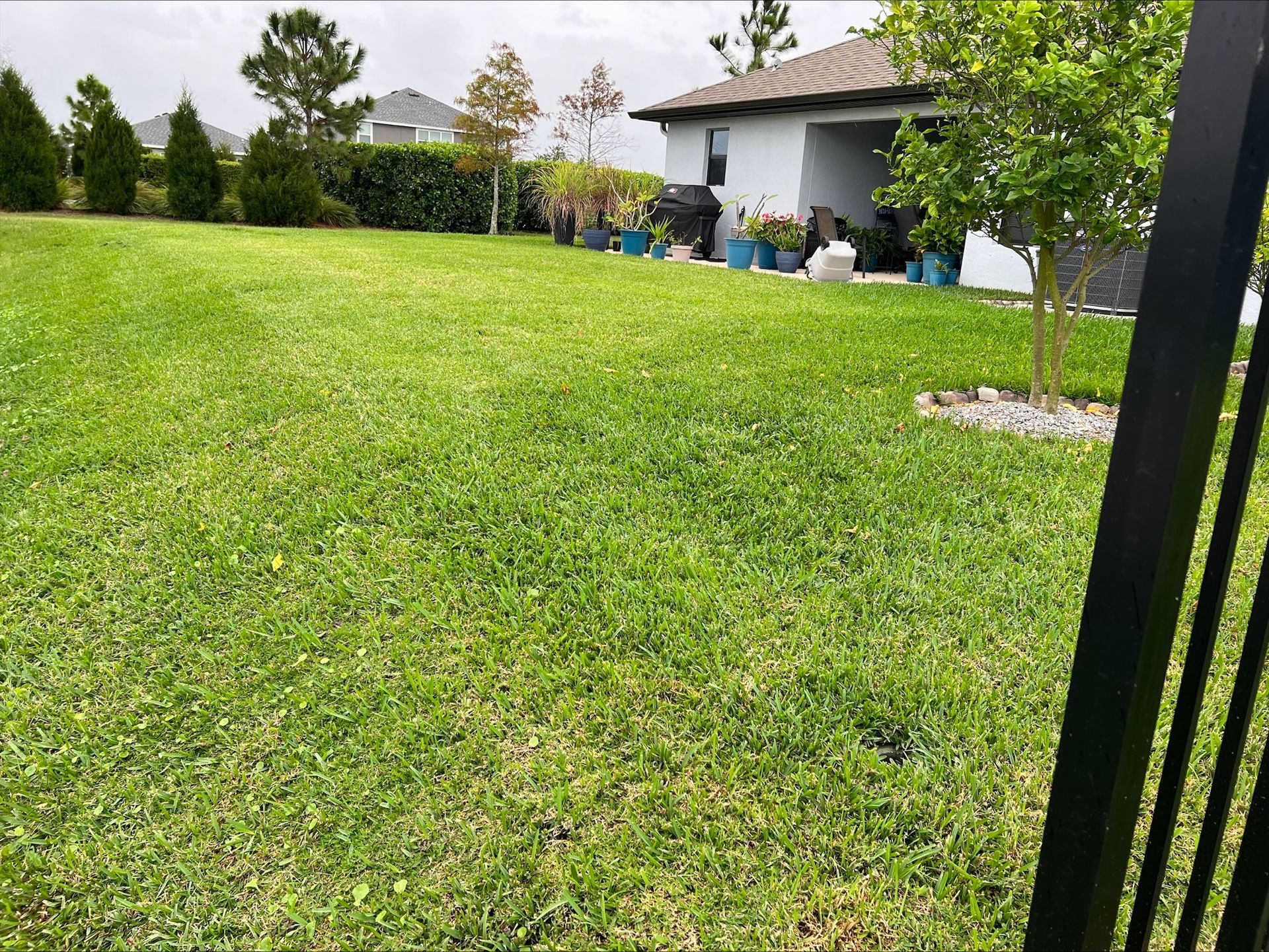 Josh Fertilizing Pro | A lush green lawn with a house in the background and a black fence in the foreground.