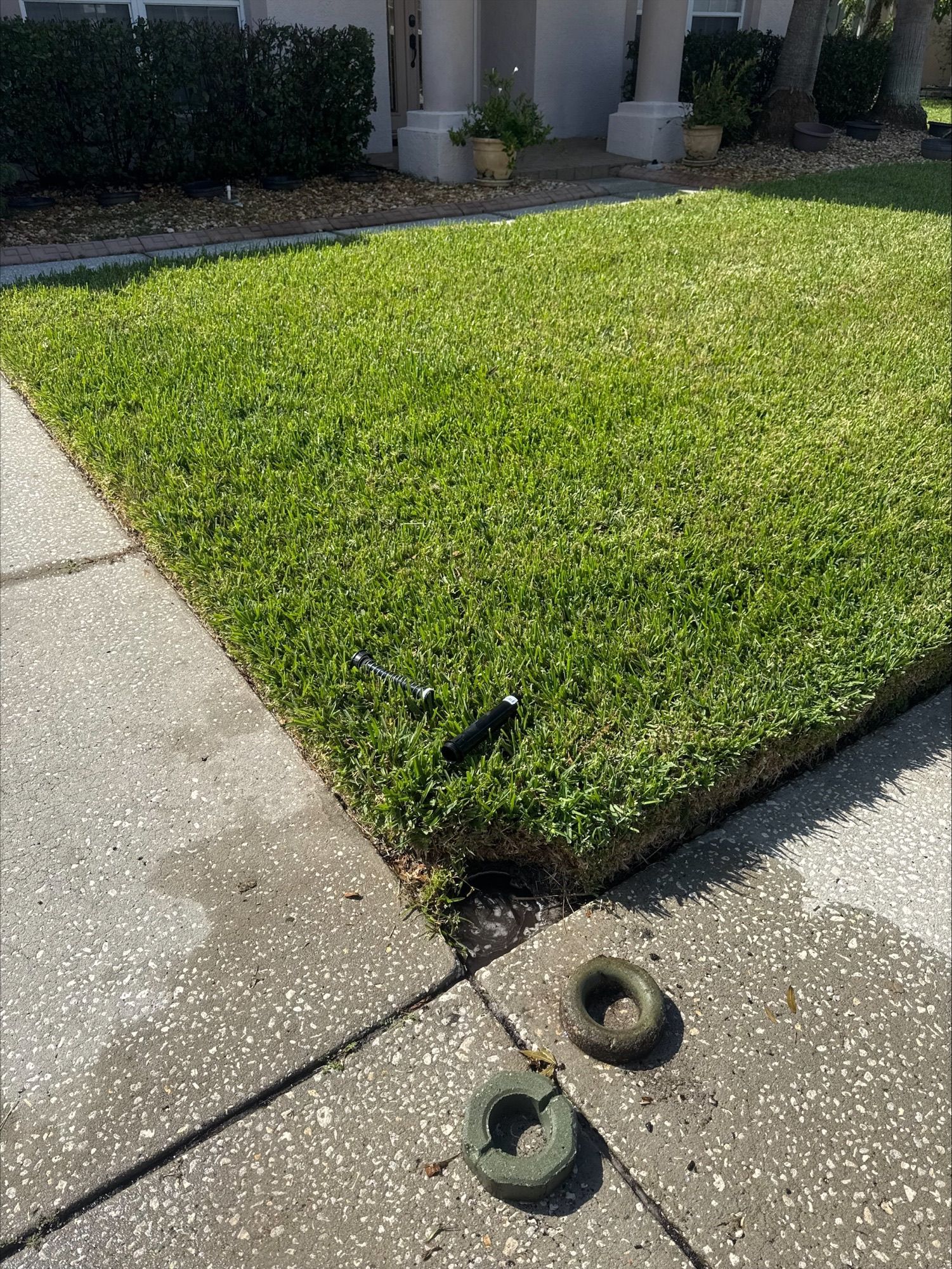 Josh Fertilizing Pro | A lawn sprinkler is sitting on the sidewalk next to a lawn.