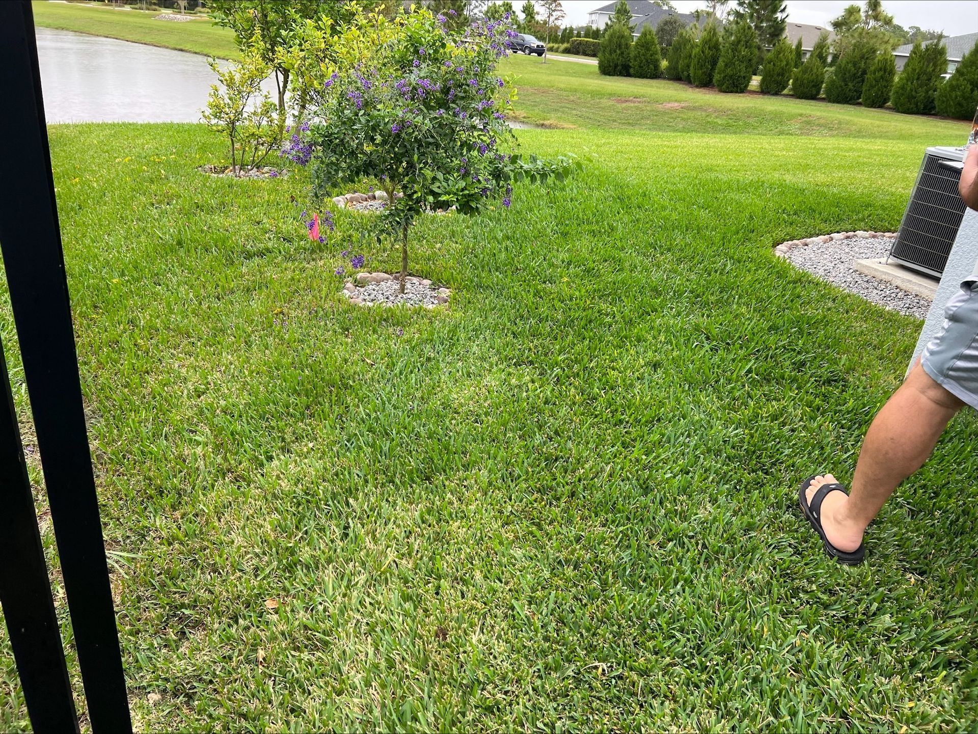 Josh Fertilizing Pro | A man is standing in a lush green lawn.
