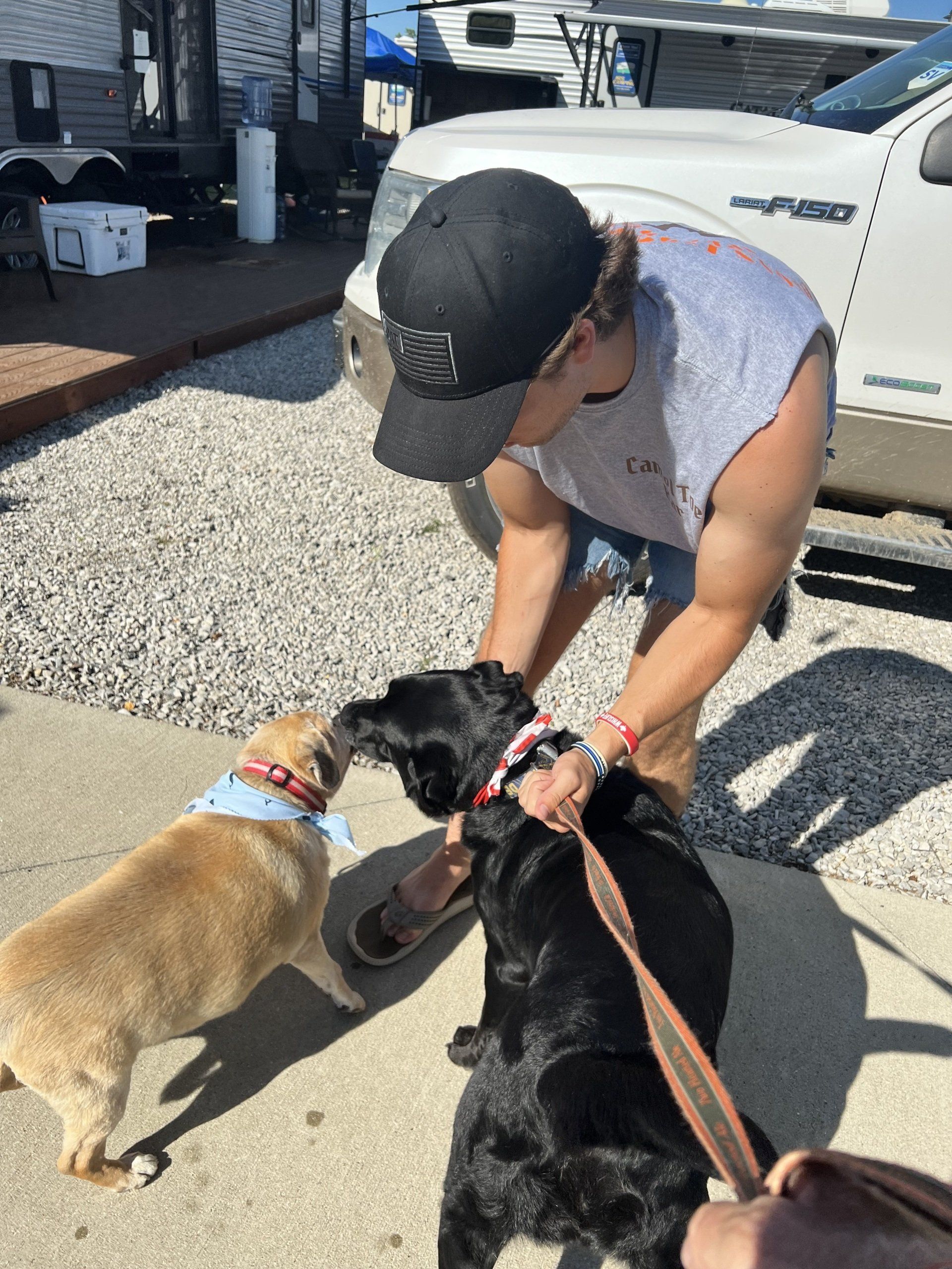 A man is petting two dogs in front of a white truck.