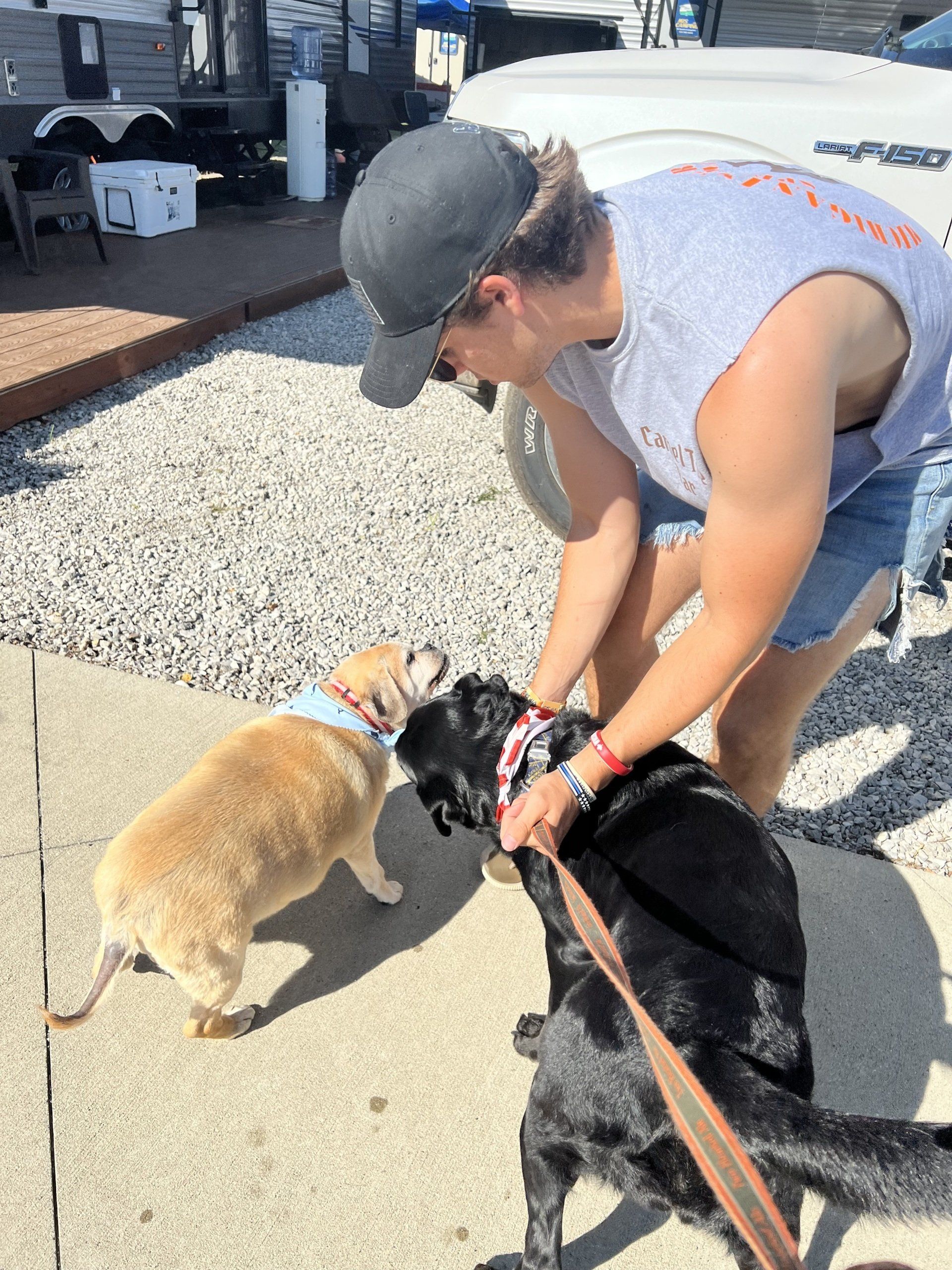 A man is petting two dogs on a leash.