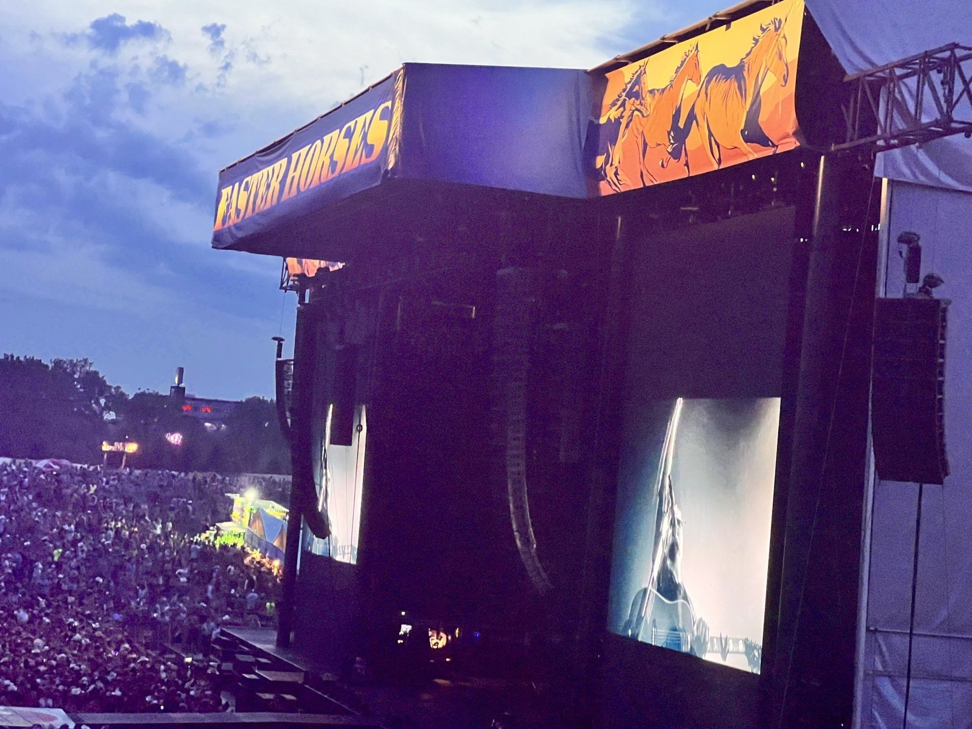 A large crowd is gathered at a party in the park concert