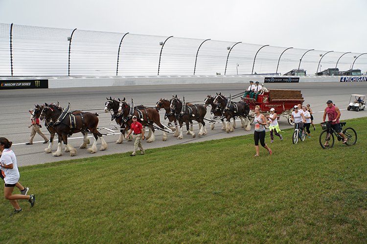 A group of horses pulling a carriage on a race track