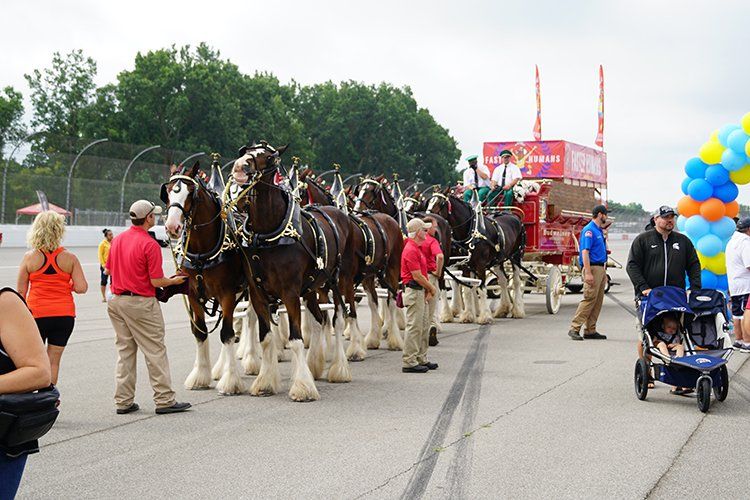A group of horses are pulling a carriage down a road.