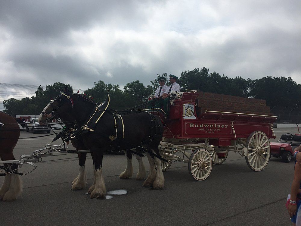 A horse drawn carriage with the word enterprise on it