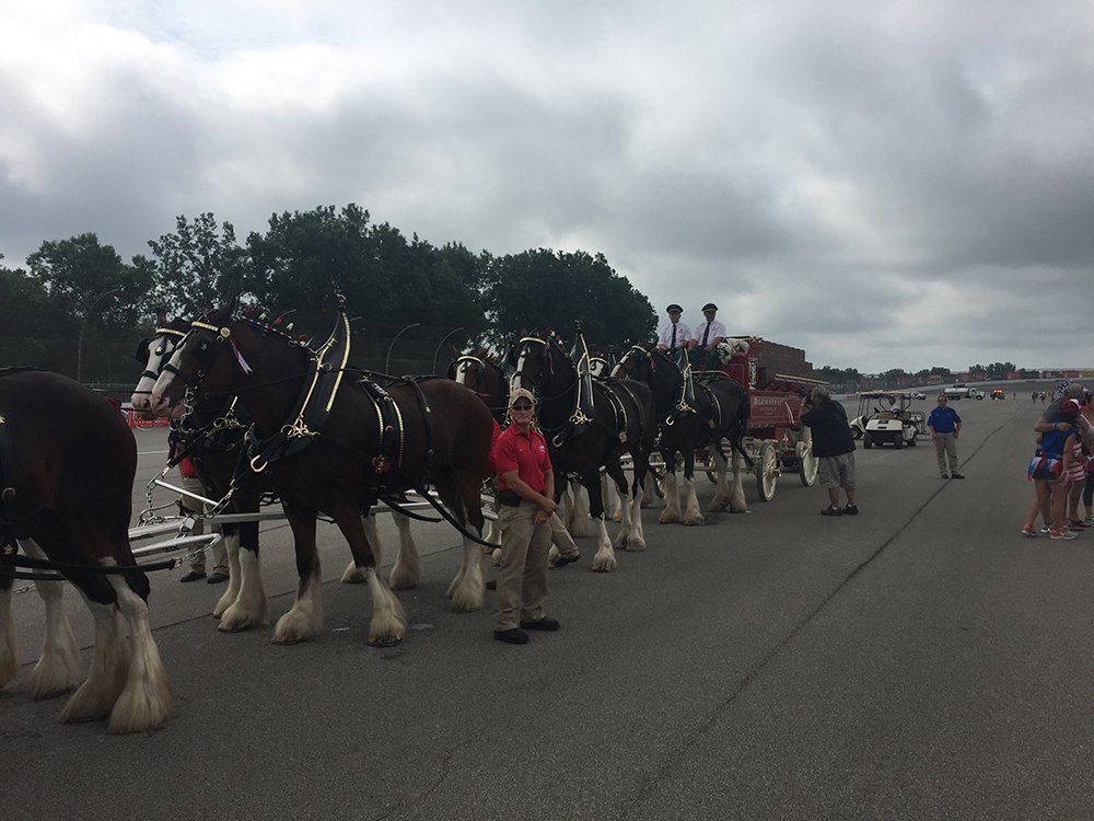 A man in a red shirt stands in front of a horse drawn carriage