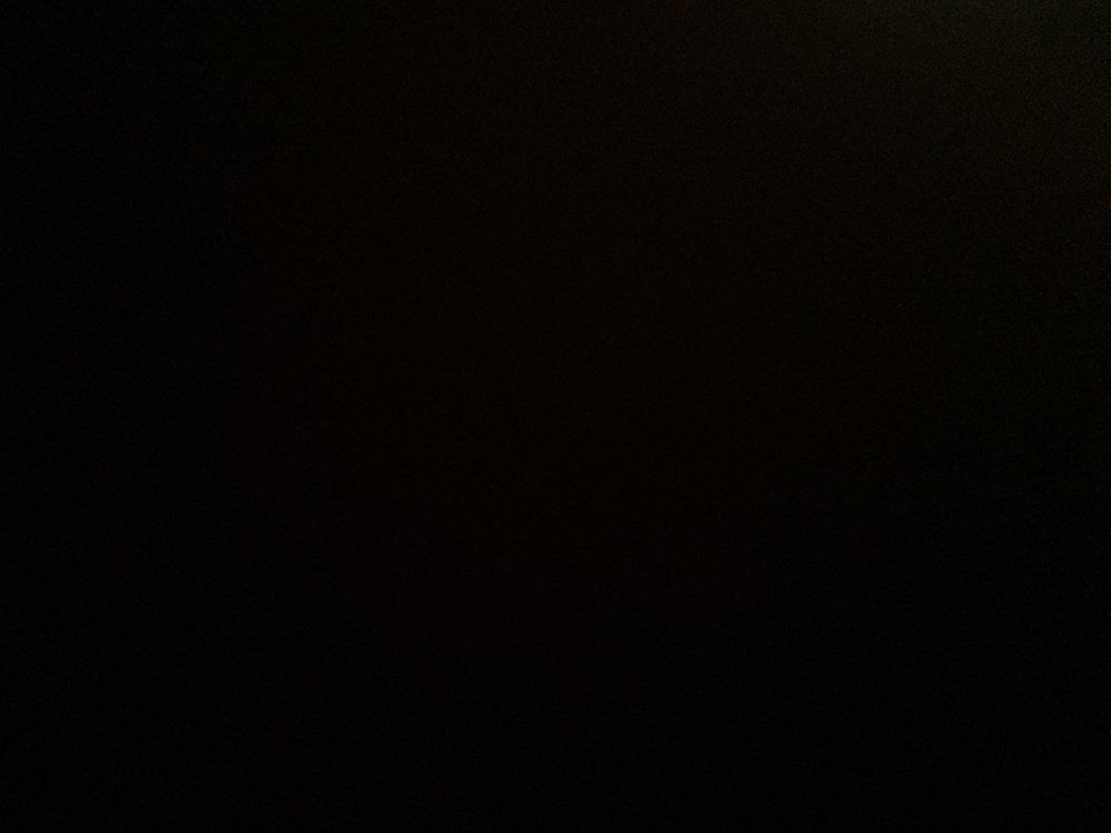 Faster Horses Festival