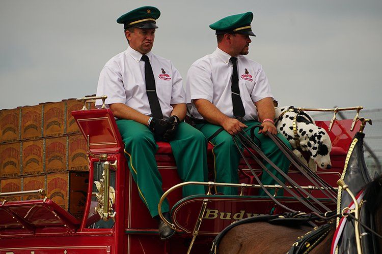 Two men are sitting in a horse drawn carriage