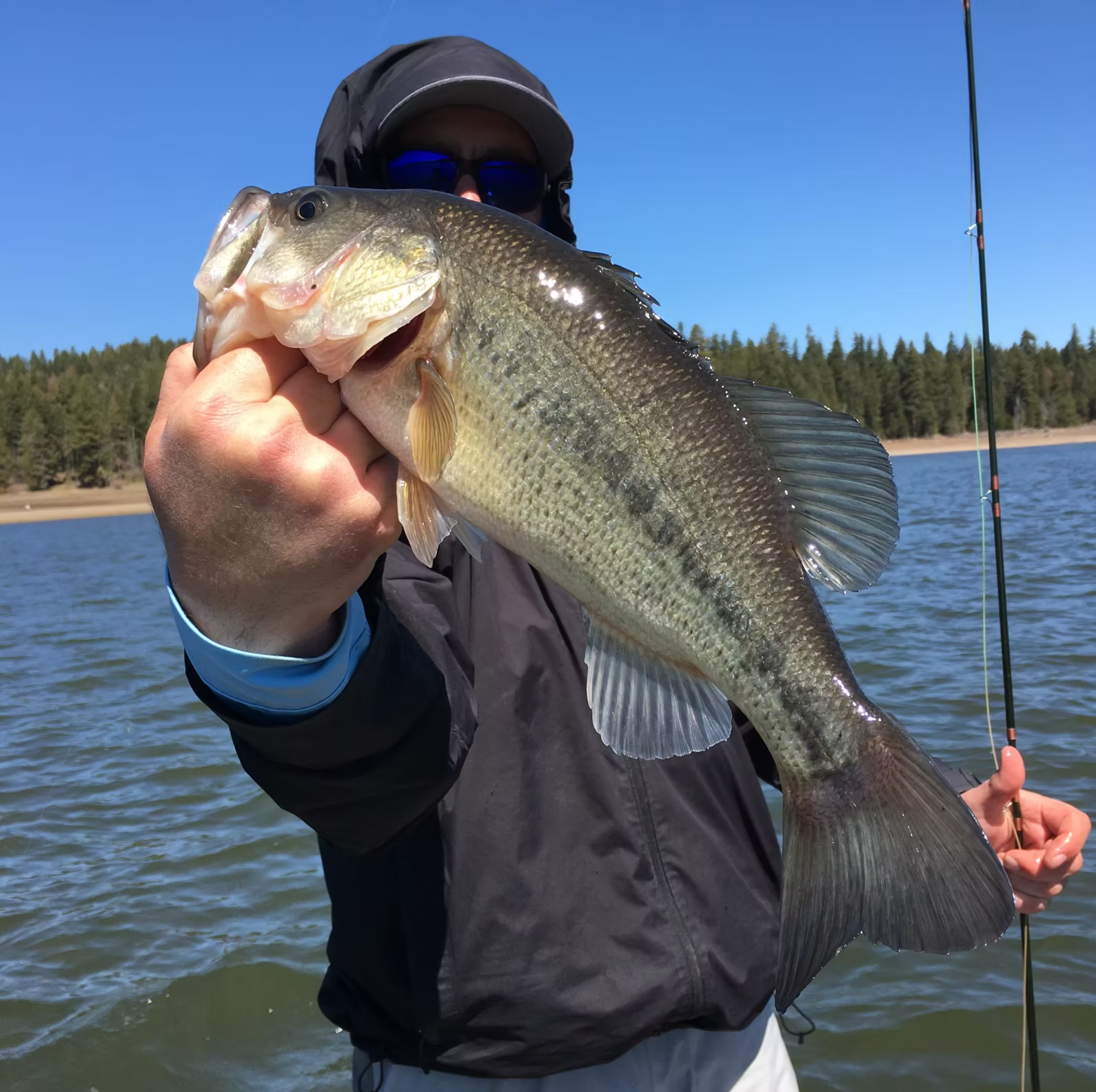 Man holds up a large bass, posing on a boat with a sunny lake and trees.
