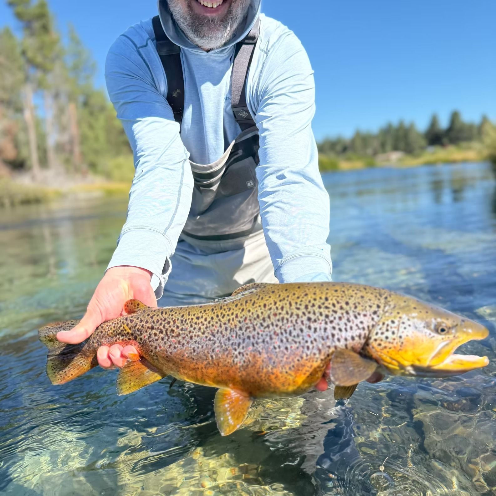 Man holding a large brown trout in clear water, smiling, sunny outdoor setting.