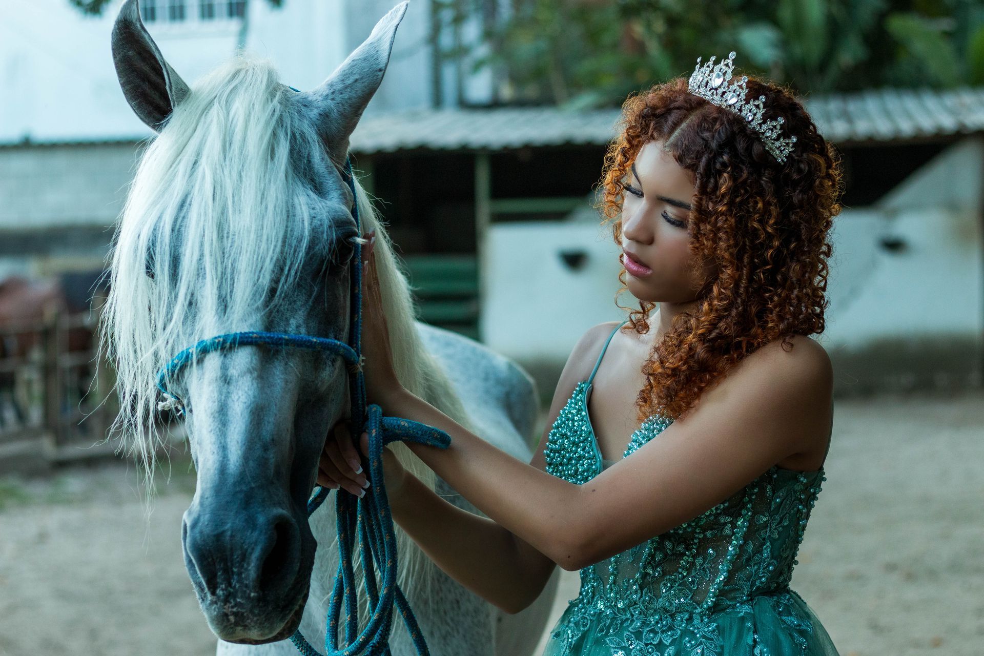 Mulher de tiara e vestido ajusta um cabresto em um cavalo branco, ao ar livre.