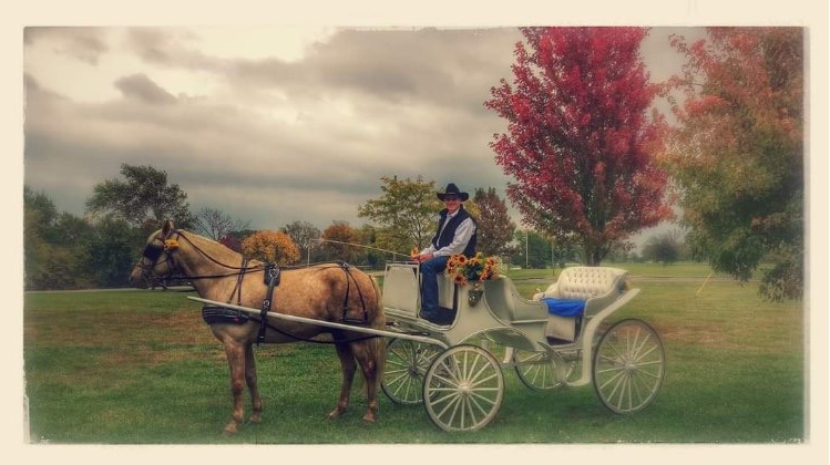 A man is riding a horse drawn carriage in a field.