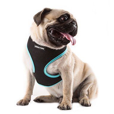 Cairns Designer Dog Accessories | Poochies Parlour