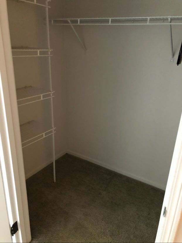A walk in closet with shelves and a carpeted floor