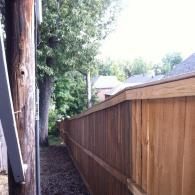 A wooden fence runs along the edge of a property next to a utility pole and a grassy area with trees in the background.