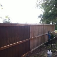 A wooden fence partially stained a dark brown color, with the remaining section left in its original light wood tone.