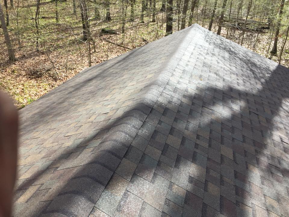 A shingled roof, angled upward, with a forest in the background on a sunny day.