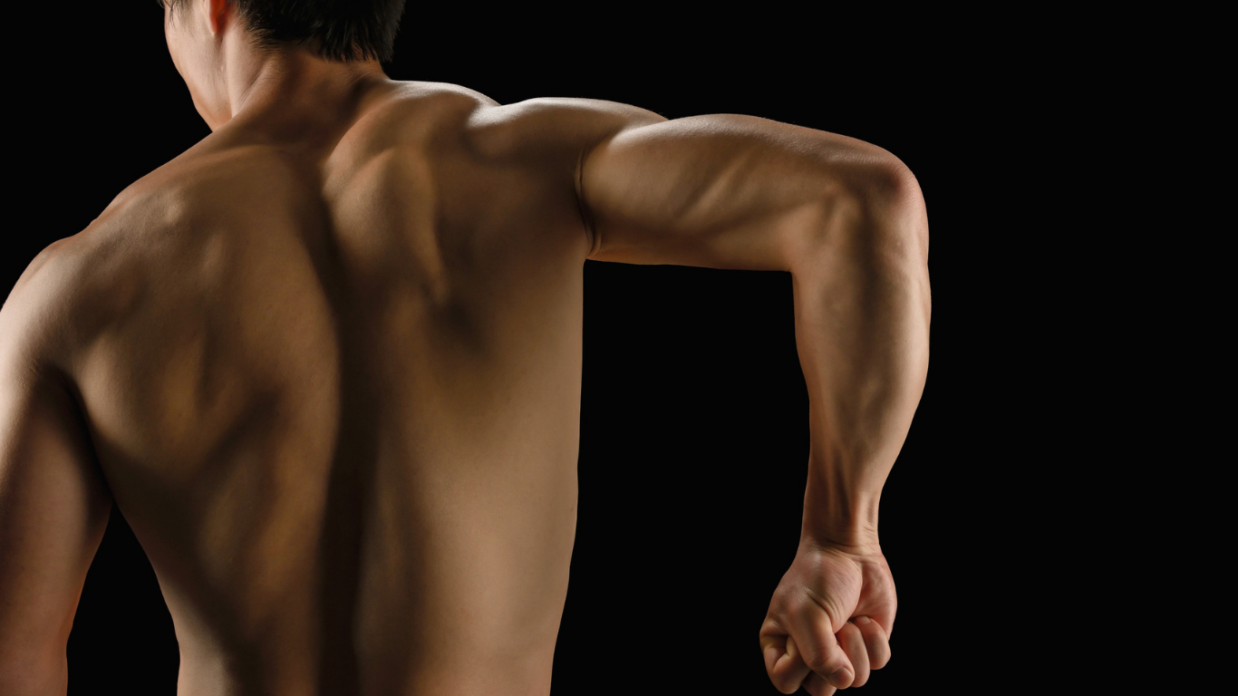 Muscular man's back and arm flexed, isolated against black background, showcasing definition and physique.