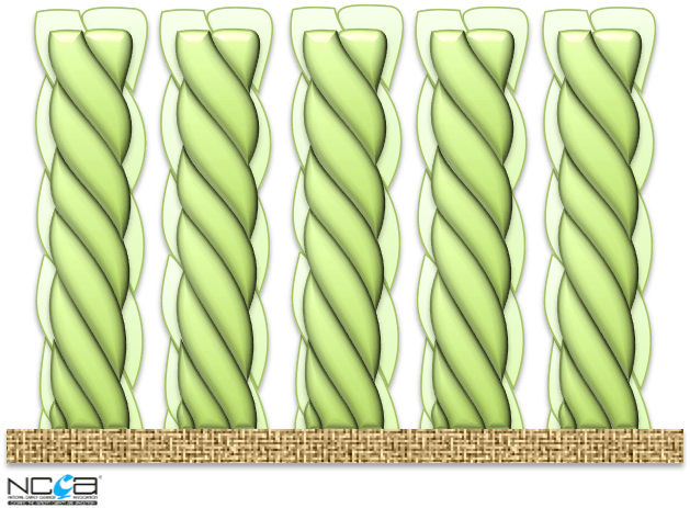A computer generated image of a rope with ncba written on the bottom