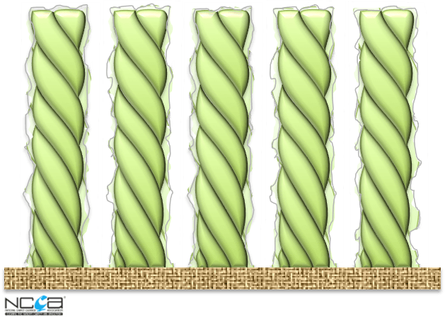 A row of green twisted ropes on a white background