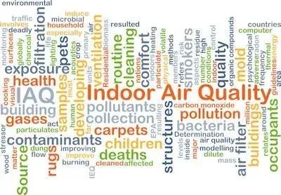 Allergy Cleaning Carpets and Upholstery