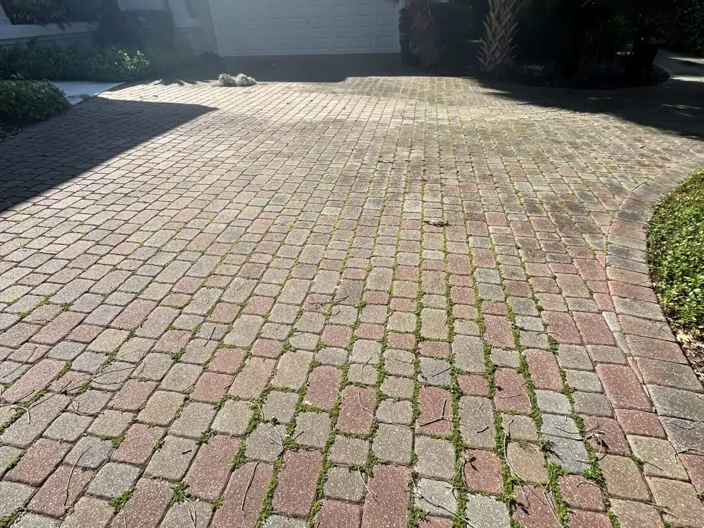 Brick driveway with patches of grass growing between bricks.