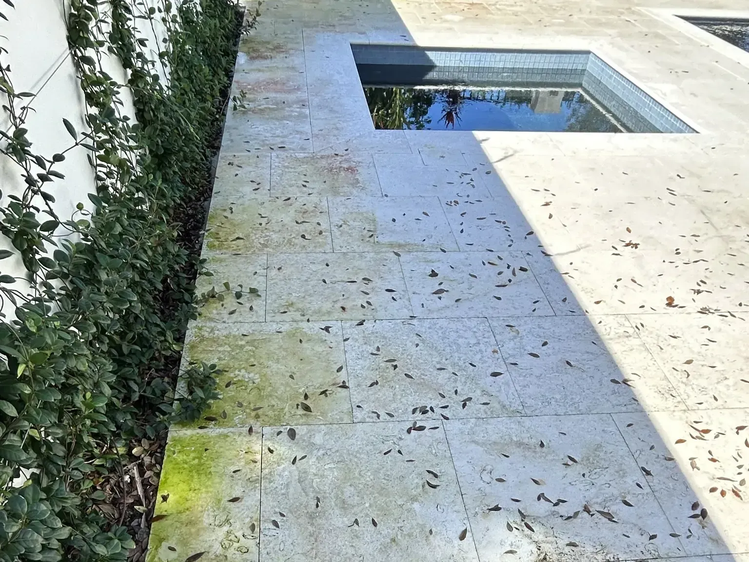 Stone patio with small pool, green foliage along a white wall, and scattered leaves.