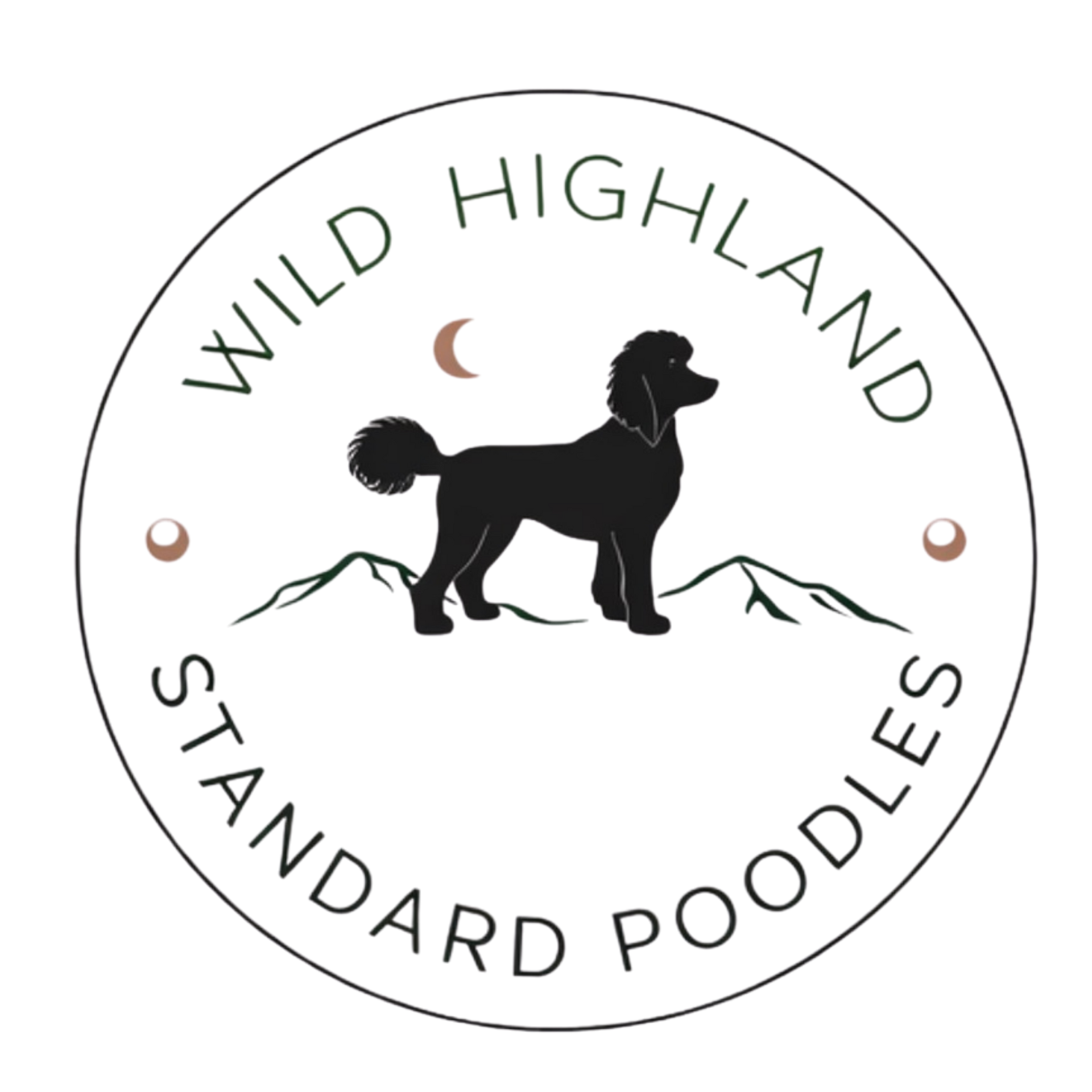 Wild Highland Standard Poodles logo