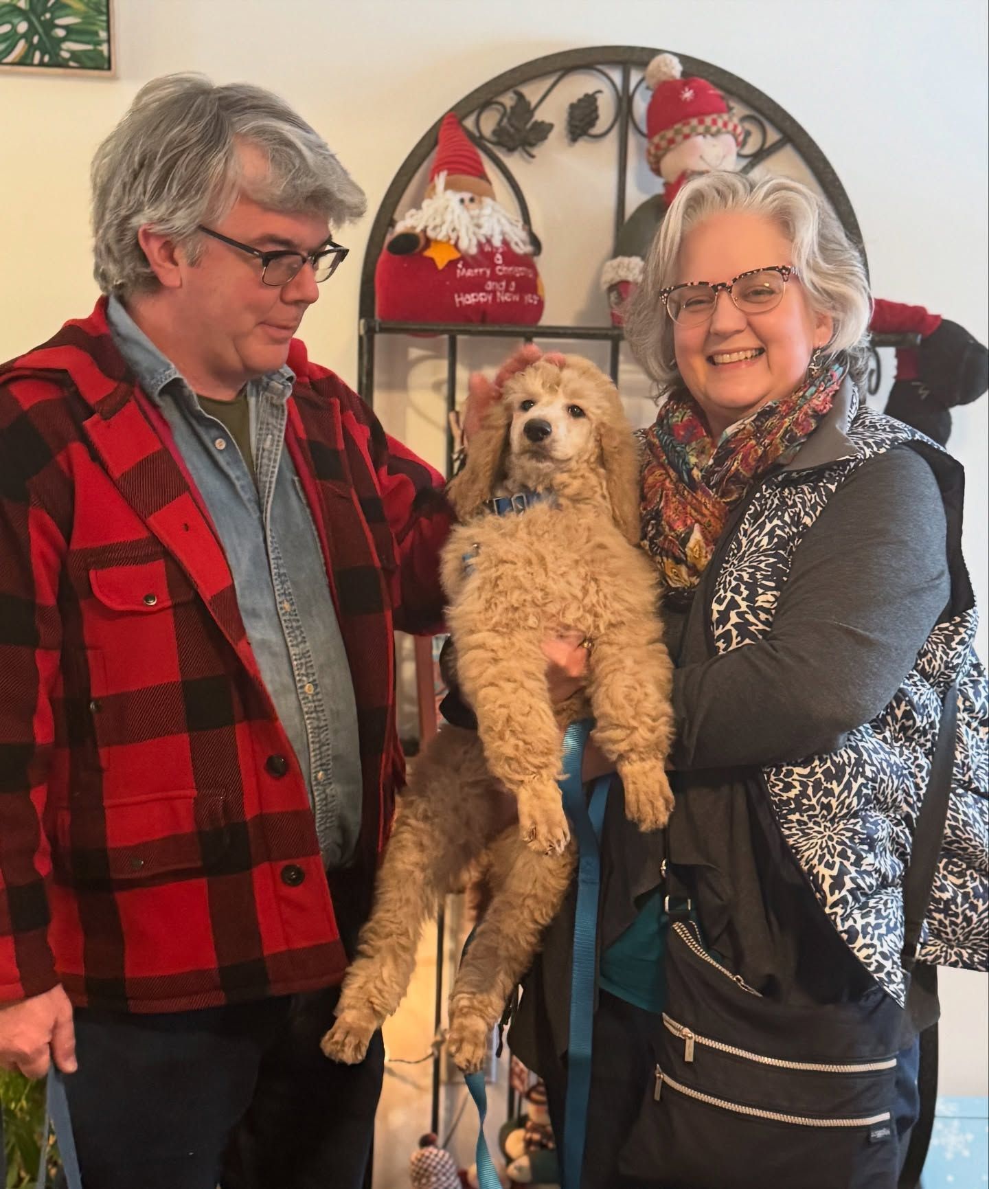 Two people holding their new standard poodle puppy