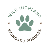 Wild Highland Standard Poodles logo