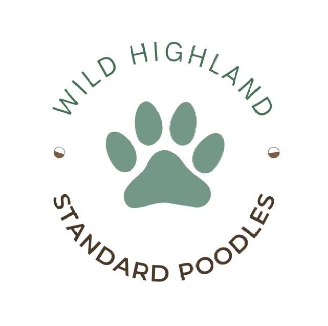 Wild Highland Standard Poodles logo