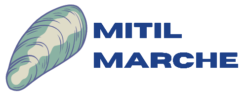 Mitil Marche logo