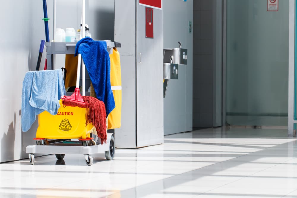 Mopped Bucket Cleaning Process - House Cleaning in Wollongong, NSW