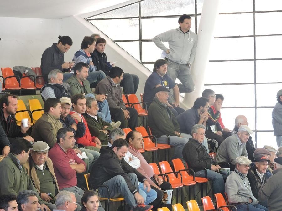 Un grupo de personas está sentado en un estadio viendo un partido.