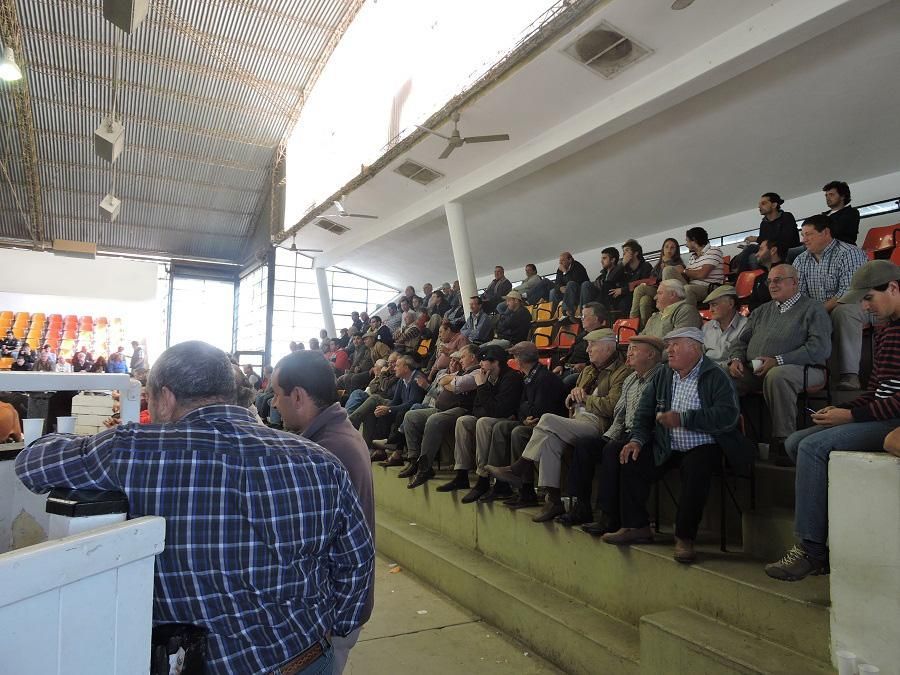 Una multitud de personas están sentadas en un estadio viendo un partido.