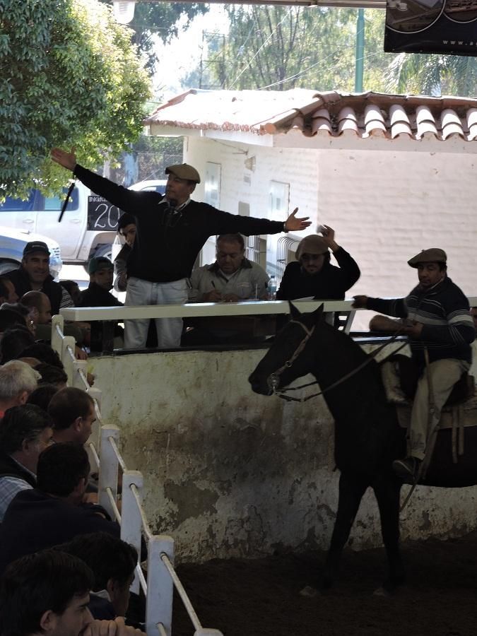 Un grupo de personas observando a un hombre montado a caballo.