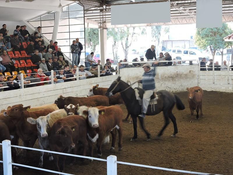Un hombre montado a caballo en una arena de rodeo.