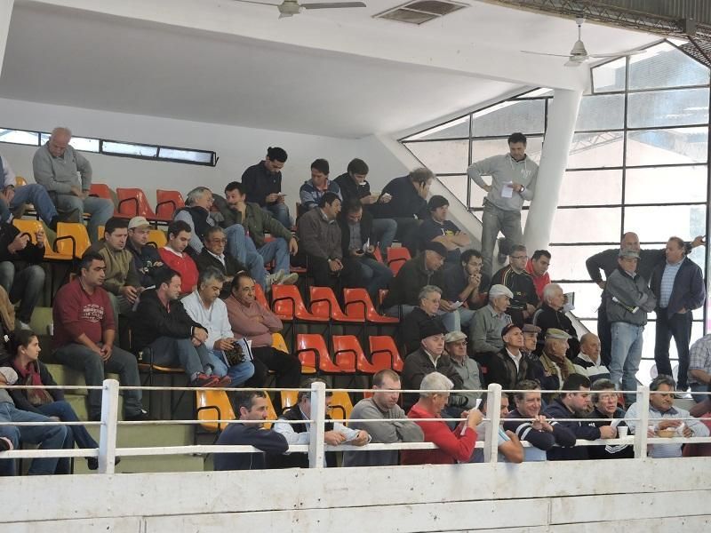 Un grupo de personas sentadas en un estadio viendo un partido.