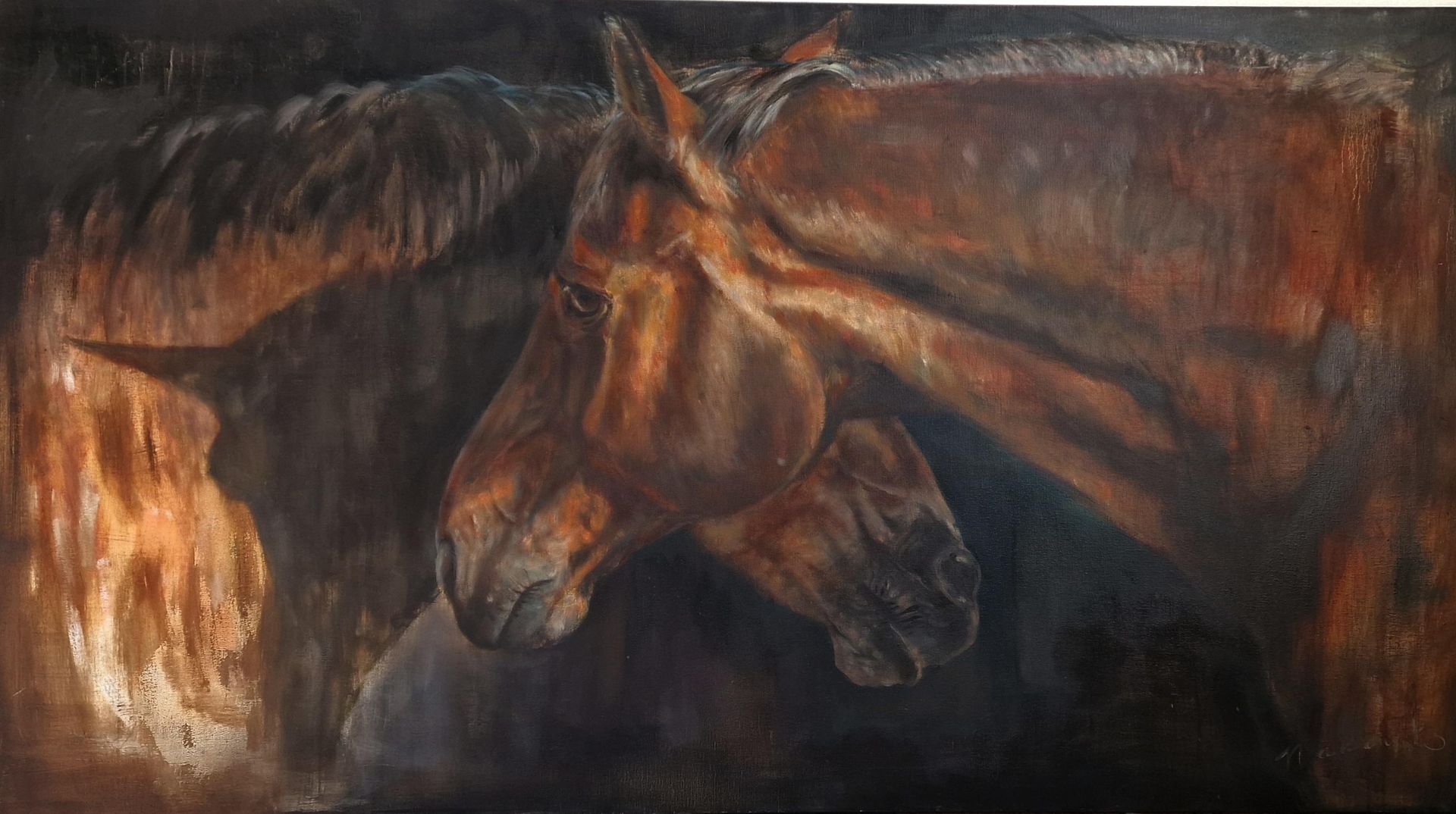 paardenportret