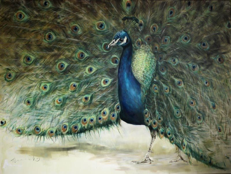 Een schilderij van een pauw met uitgespreide veren.