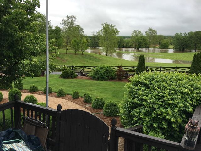 Shrubs in Garden – Waynesboro, VA - Russell May Landscaping