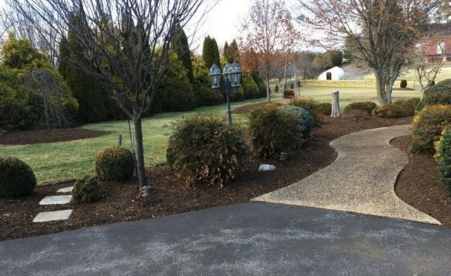Shrubs – Waynesboro, VA - Russell May Landscaping