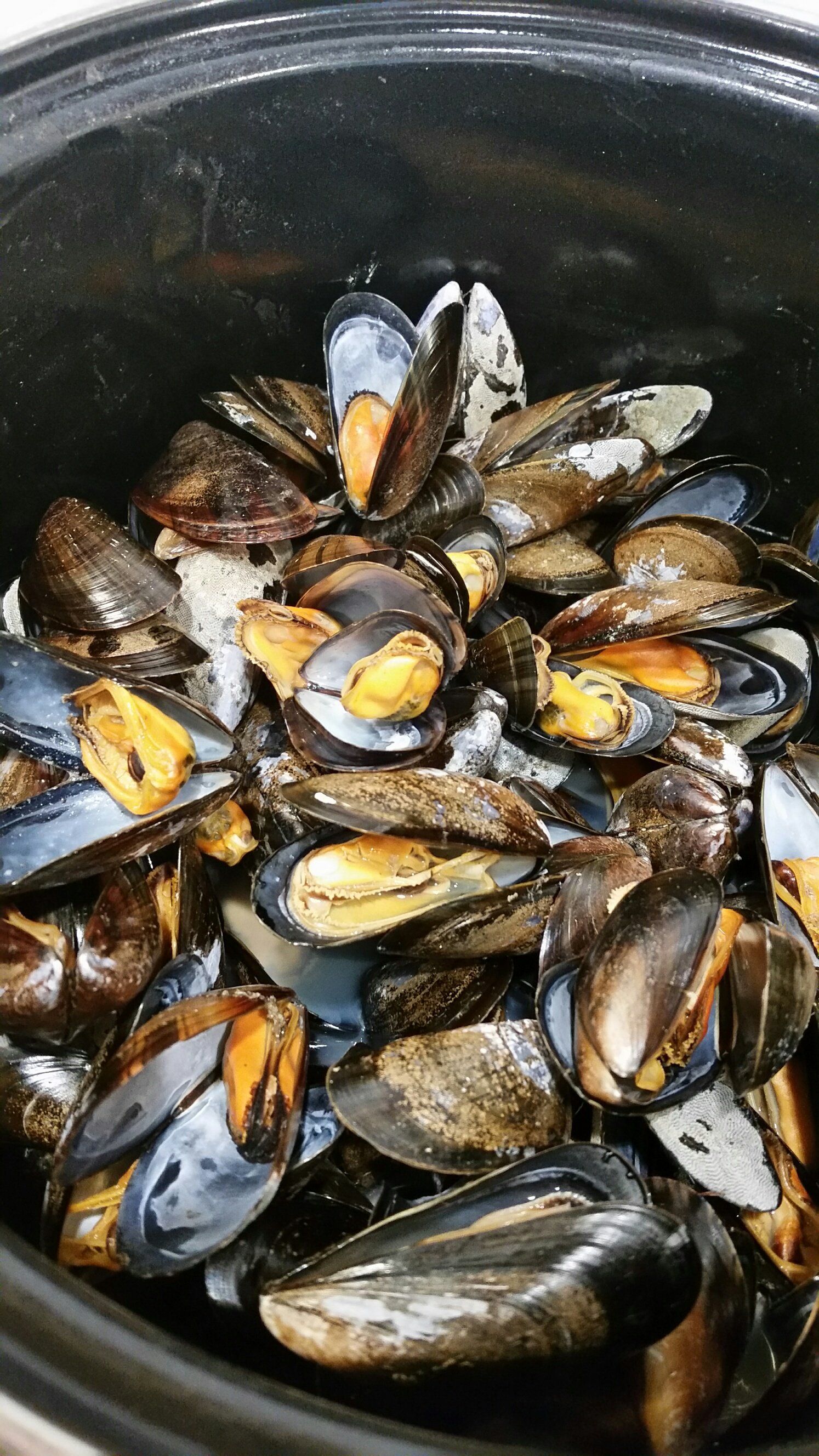 recept zeevruchten schelpdieren lunch diner Mosselen oerdieet paleo