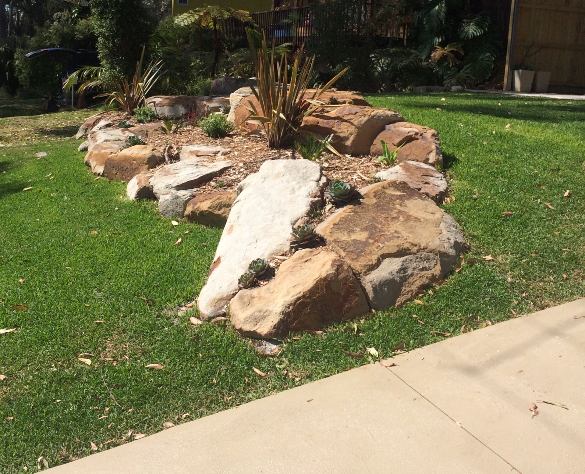 Rock garden with green grass, brown rocks, and plants.