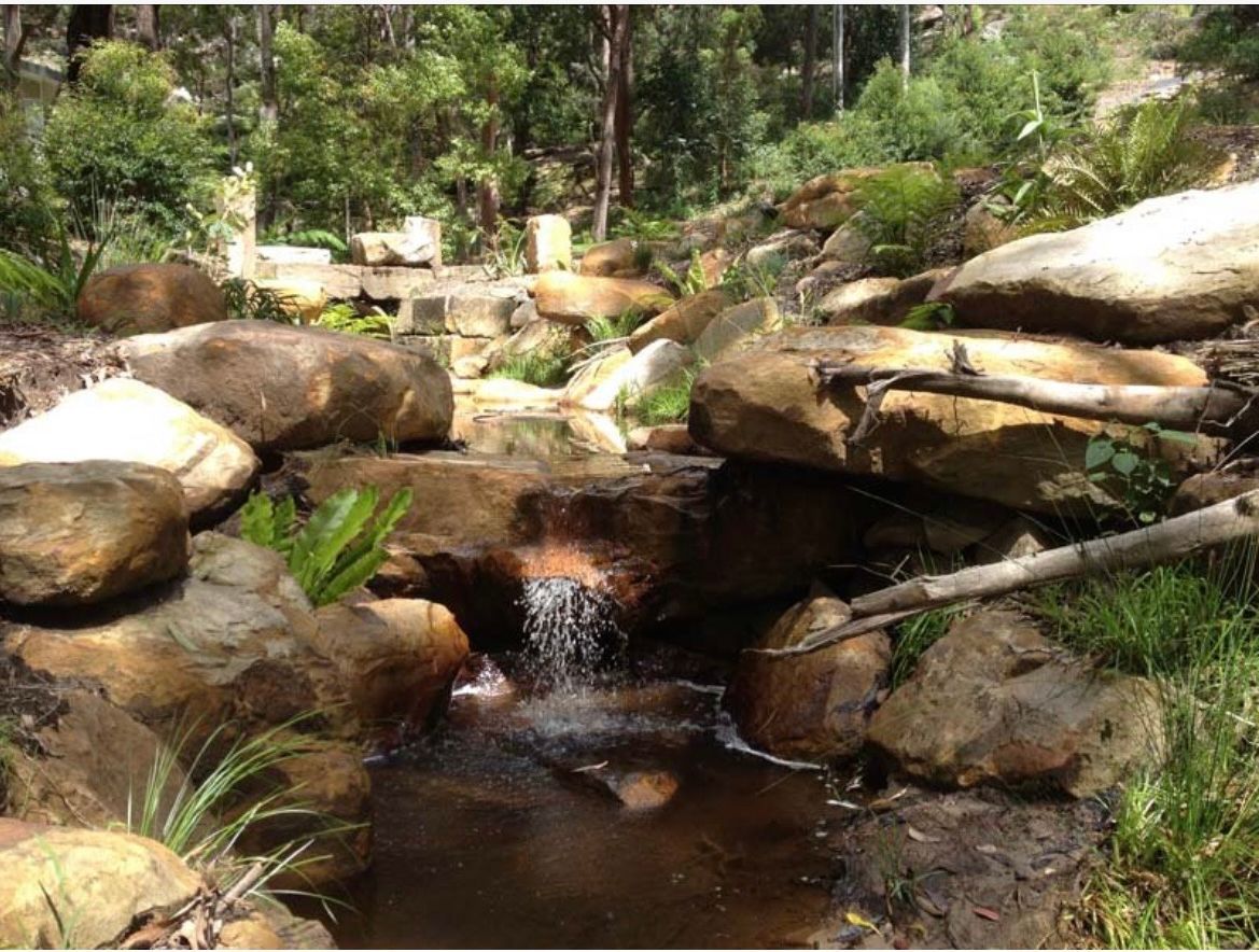 Rocky stream with a small waterfall flowing through a garden setting with green foliage.